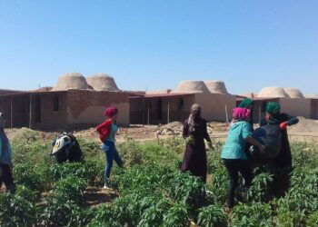 Komünal Ekonominin İnşası ve Kooperatifler