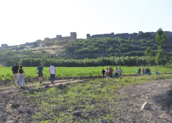 HEVSEL BAHÇELERİNDE TEMİZLİK