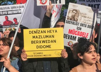 GENÇLİK ÖRGÜTLERİ ÜÇ FİDANI ANDI