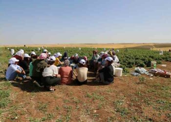 KOMÜN-KOOPERATİF-MECLİS ÜZERİNE -1