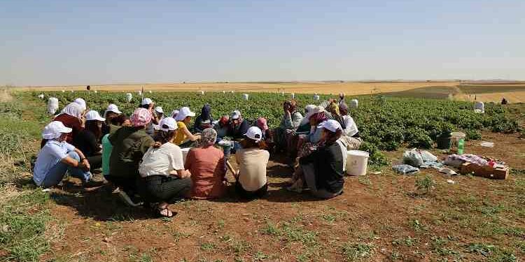 KOMÜN-KOOPERATİF-MECLİS ÜZERİNE -1