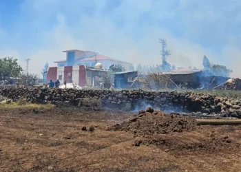 Mardin’in 5 İlçesinde Yangın! Yerleşim Yerlerine İlerliyor