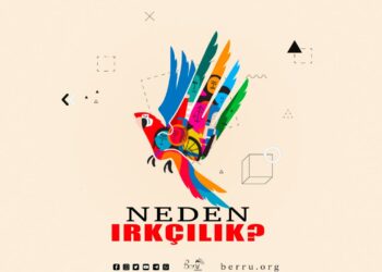 Neden Irkçılık ?