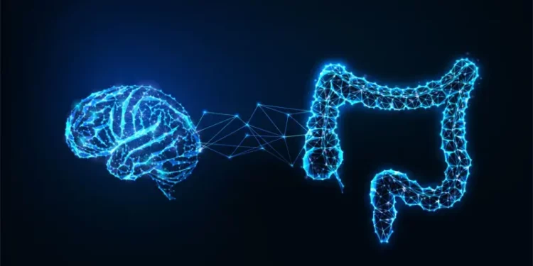 Bağırsak Sağlığı Neden Önemli Ve Nasıl İyileştirilebilir?