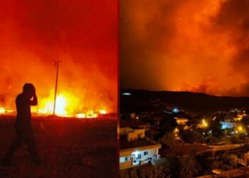 Ekoloji Örgütlerinden Yangın Raporu !