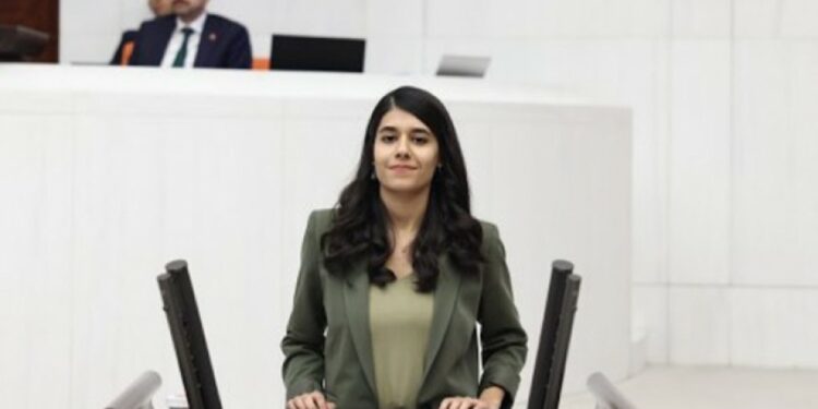 Gençlerin Sorunları Meclise Taşındı