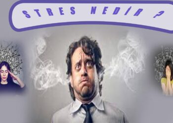 Stres Nedir ?