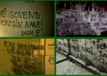 Dem Parti Genç Kadın Meclisinden Kültürel Saldırılara Karşı Yazılama !