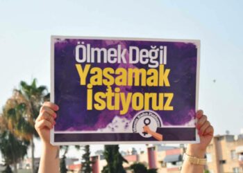 Mesin’de 2 Erkek Kardeş Bir Kadını Katletti !