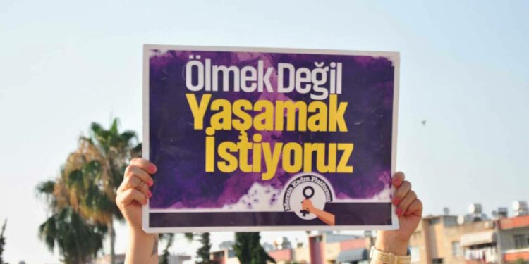 Mesin’de 2 Erkek Kardeş Bir Kadını Katletti !