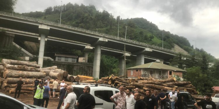 Hopalı Gençler Kereste Atölyelerinin İmalatını Durdurdu !