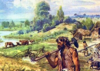 “Geçmişte Avcı Değil, Ağırlıklı Olarak Toplayıcıymışız”