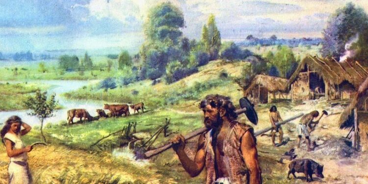 “Geçmişte Avcı Değil, Ağırlıklı Olarak Toplayıcıymışız”