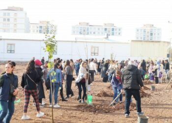 Katledilen Kadınlar İçin Fidanlar Dikildi