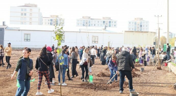 Katledilen Kadınlar İçin Fidanlar Dikildi