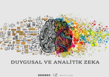 “Duygusal ve Analitik Zekânın Birliği”