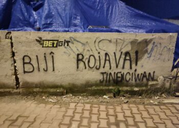 Genç Kadınlardan Rojava’ya Destek Eylemleri