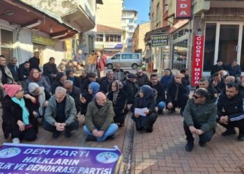 Dep’te ‘Rojava’ya Statü Halklara Özgürlük’ Eylemi