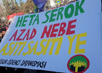 Amed’te “Barış için özgürlük” Mitingi Düzenleniyor