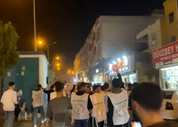 Riha’da Gençlerden Newroz Çalışması