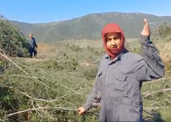 köylüler Ağaç Kıyımına Karşı Nöbette