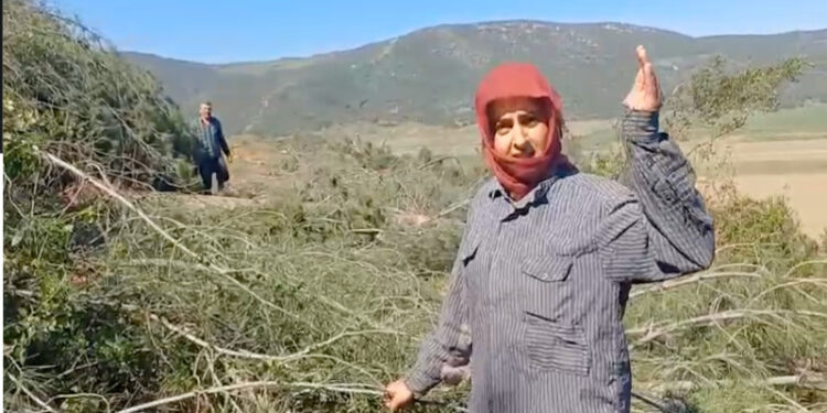 köylüler Ağaç Kıyımına Karşı Nöbette