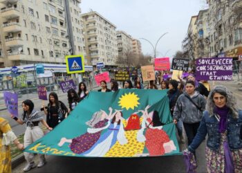 Amed’te Coşkulu 8 Mart Kutlaması