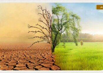 “Ekolojik Çöküşün Toplumsal Sonuçları”