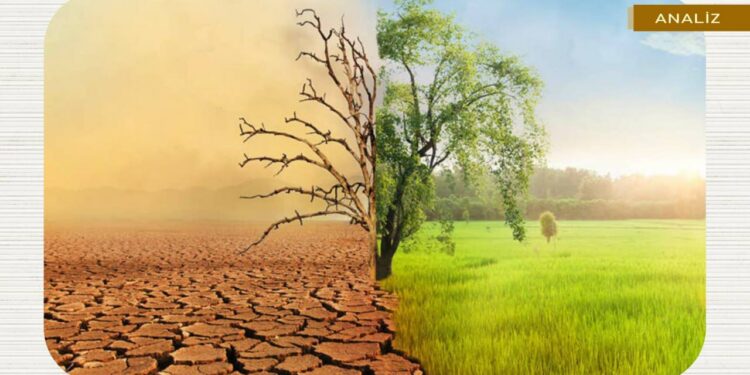 “Ekolojik Çöküşün Toplumsal Sonuçları”