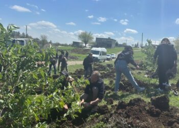 Amed’te Ağaçlandırma Çalışması