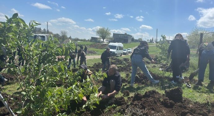 Amed’te Ağaçlandırma Çalışması