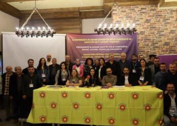 “Anadilde Eğitim İçin Demokratik Anayasa Şart”