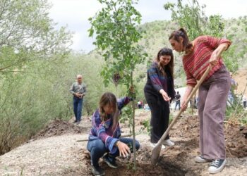 Besta’da Ekolojik Kırıma Karşı Fidan Dikildi