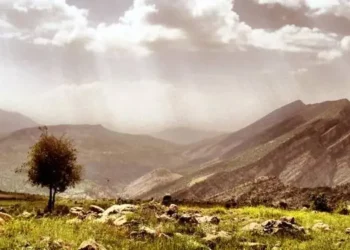 Sermayeci Düzenin Ekolojik Kırımı