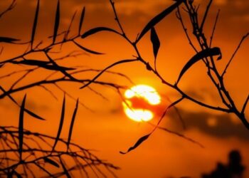 Gerçeği Arayışın Acısı