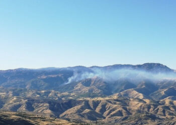 Kürdistan Doğasının Sistematik Talanı
