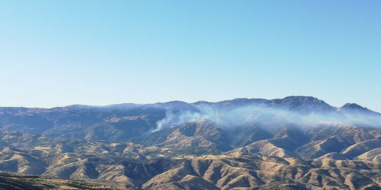 Kürdistan Doğasının Sistematik Talanı