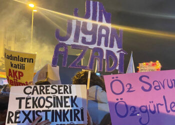 Cinayet Değil Toplum Kırımı