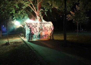 Amed’te Rojava Devrimi Kutlaması