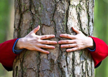 Modern Yaşam İnsanları Doğadan Koparıyor