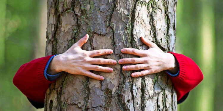 Modern Yaşam İnsanları Doğadan Koparıyor