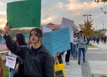 YYÜ’de Rojin Kabaiş Eylemi On Üçüncü Gününde