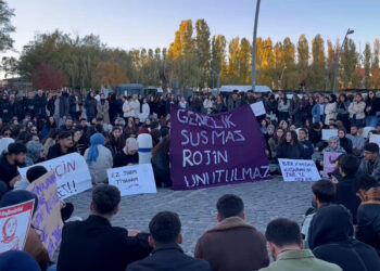 YYÜ’de Rojin Kabaiş Eylemi Sürüyor