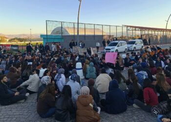 Wan’da Öğrenciler Rojin Kabaiş İçin Oturma Eyleminde