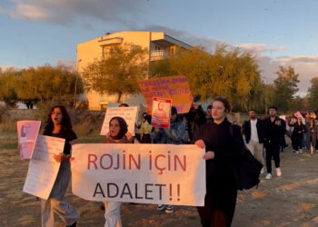 YYÜ’de Öğrencilerin Rojin Kabaiş Eylemi Sürüyor