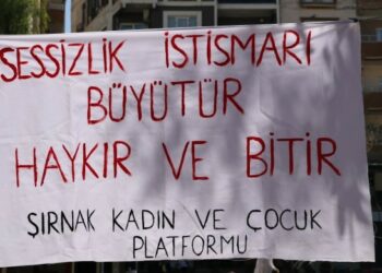 Cizîr’de Çok Sayıda Öğrenciye Taciz