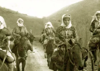 Onurlu Bir Yaşamın Adı: Rindêxan