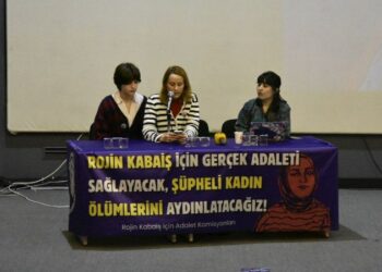 Rojin Kabaiş İçin Ankara’da Buluşma