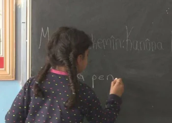 Araştırma: Anadilde Eğitim Talebi Yüzde 98,7