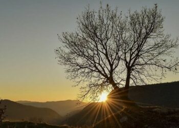 Bir Yabancılaşma ve Öze Dönüş Hikâyesi